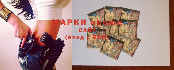 индика Елабуга
