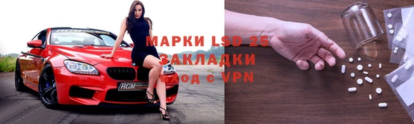 индика Елабуга
