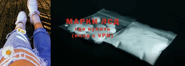 индика Елабуга