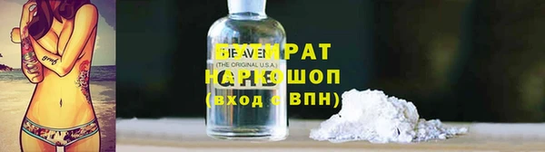 индика Елабуга