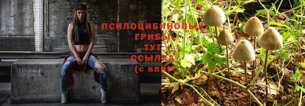 индика Елабуга