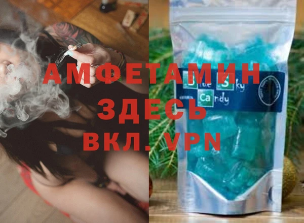 индика Елабуга