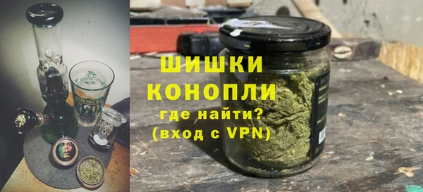 индика Елабуга