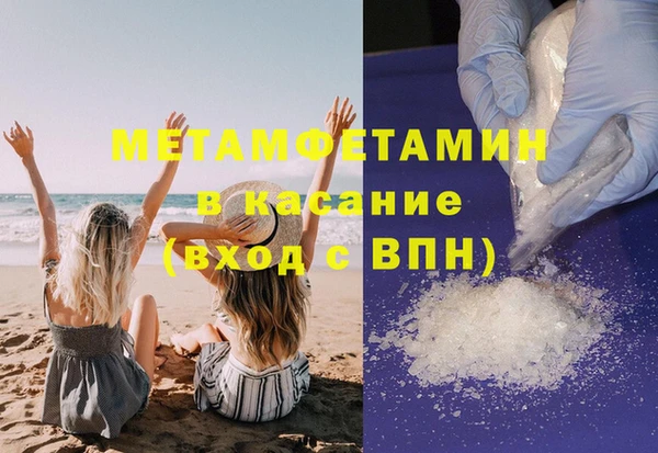 индика Елабуга