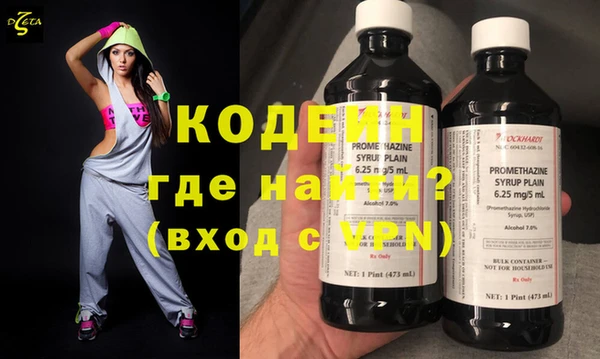 индика Елабуга