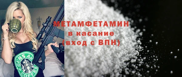 индика Елабуга