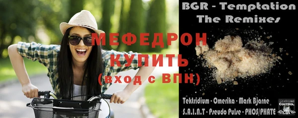 индика Елабуга