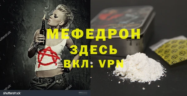 индика Елабуга