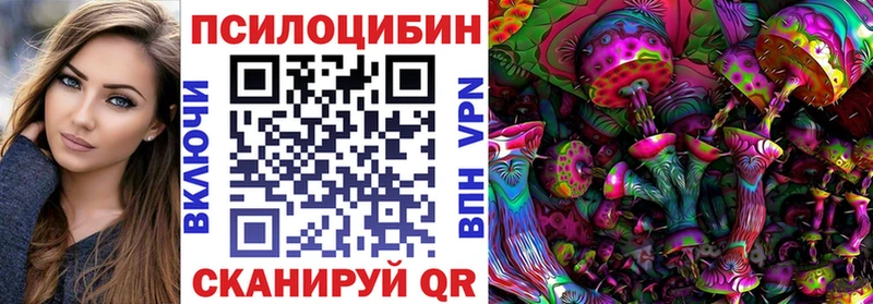 Купить  Сим  Галлюциногенные грибы GOLDEN TEACHER 