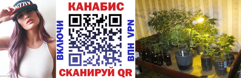 Конопля планчик  Купить закладки  Сим 